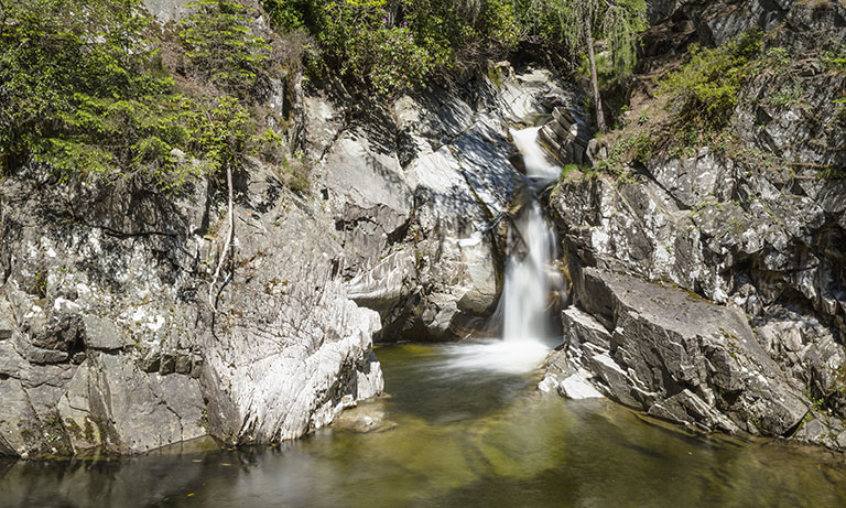 Nature walks and picnics